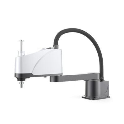 Robot 4 trục siêu giá cả phải chăng, chính xác cao và dễ vận hành